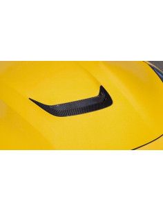 NOVITEC Ferrari F12 Berlinetta Insert Capot avant Carbone 2