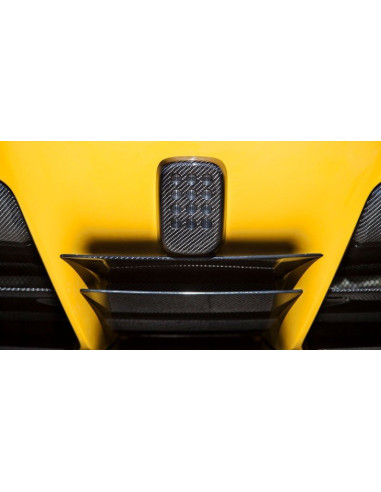 NOVITEC Ferrari F12 Berlinetta Diffuseur Arrière Carbone