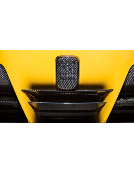 NOVITEC Ferrari F12 Berlinetta Diffuseur Arrière Carbone