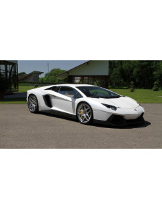 NOVITEC Lamborghini Aventador + Roadster Suspension Amortisseurs  / Ressorts 2