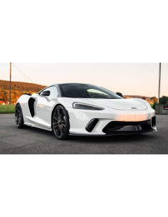 NOVITEC McLaren GT Suspension Ressorts courts 2