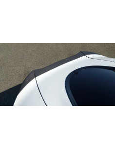 NOVITEC McLaren GT Becquet Arrière Carbone 2