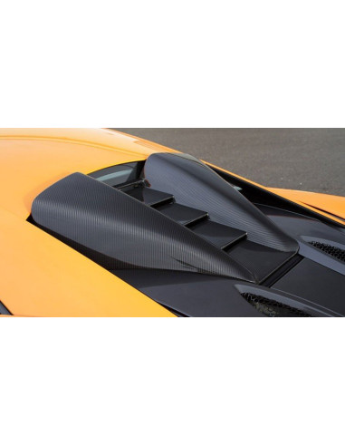 NOVITEC McLaren 540C / 570S Coupé Capot Moteur Carbone