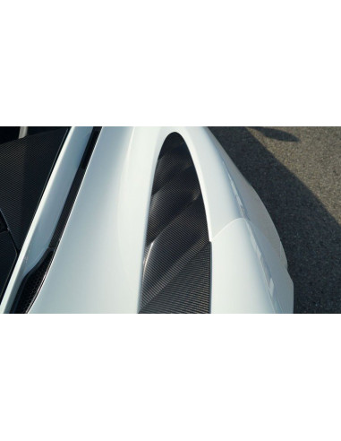 NOVITEC McLaren 720S / Spider Prises d'air Ailes Arrière Carbone