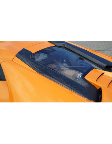 NOVITEC Lamborghini Huracan PERFORMANTE Prises d'air de toit Carbone Forgé/Forged