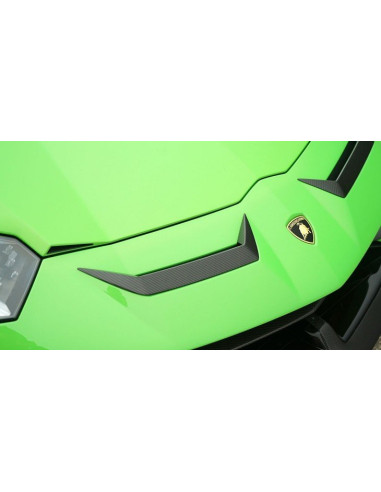 NOVITEC Lamborghini Aventador SVJ Flaps avant Carbone
