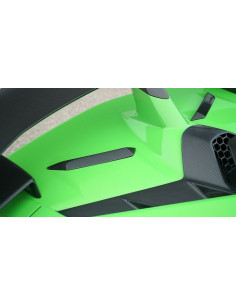 NOVITEC Lamborghini Aventador SVJ Flaps arrière Carbone 2
