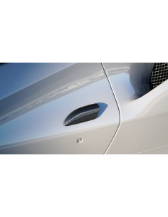 NOVITEC Ferrari F8 Tributo / Spider Poignées de Porte Carbone 2