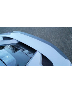 NOVITEC Ferrari F8 Tributo / Spider Becquet Arrière Carbone 2