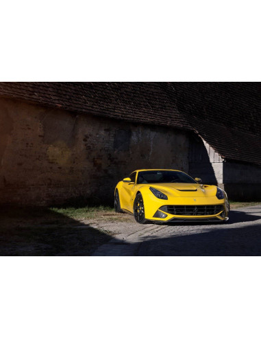 NOVITEC Ferrari F12 Berlinetta Calandre Avant Carbone
