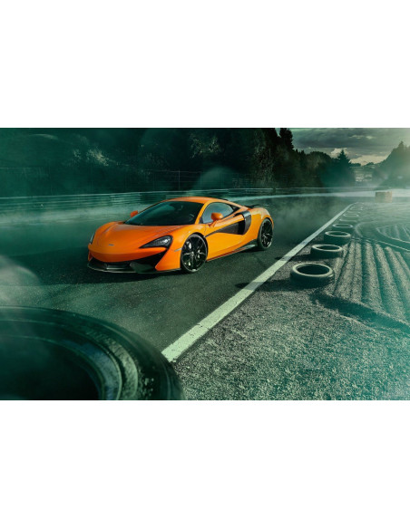 NOVITEC McLaren 540C / 570S Coupé Prises d'air Porte Carbone