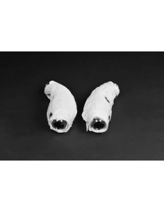 CAPRISTO Maserati MC20 Catalyseurs Sport 250 CPSI