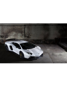 NOVITEC Lamborghini Aventador / Roadster Lame centrale avant Carbone 2