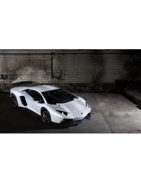 NOVITEC Lamborghini Aventador / Roadster Lame centrale avant Carbone