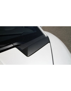 NOVITEC Lamborghini Aventador / Roadster + S Prises d'air capot avant Carbone 2