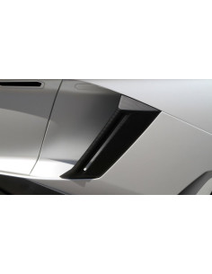 NOVITEC Lamborghini Aventador / Roadster Prises d'air latérales Carbone 2