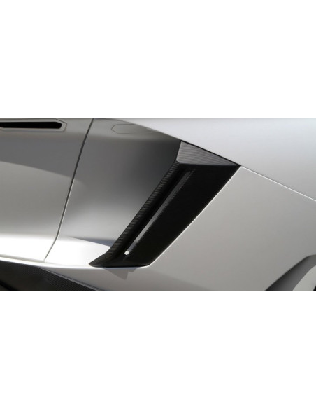NOVITEC Lamborghini Aventador / Roadster Prises d'air latérales Carbone