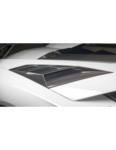 NOVITEC Lamborghini Aventador S / S Roadster Prises d'air arrière Carbone 2