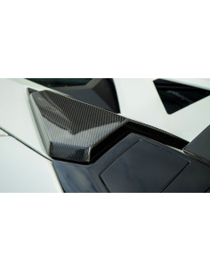NOVITEC Lamborghini Aventador SV Roadster Prises d'air de Toit Carbone 2