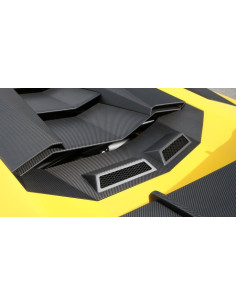 NOVITEC Lamborghini Aventador SV Ventilation Capot moteur Carbone 2
