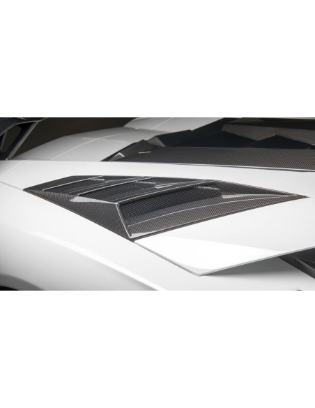 NOVITEC Lamborghini Aventador SV / SV Roadster Prises d'air Arrière Carbone