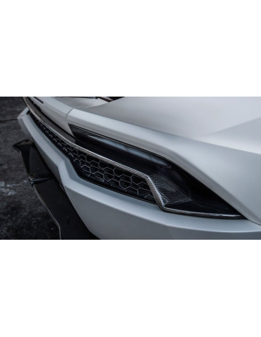 NOVITEC Lamborghini Huracan Coupé / Spyder Inserts de feux arrière Carbone