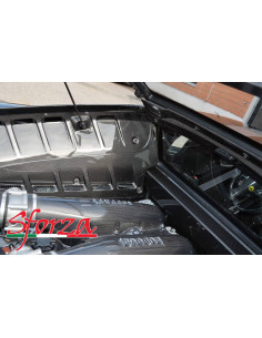 SFORZA Ferrari F430 Coupé / Scuderia Caches moteur latéraux Carbone compartiment moteur