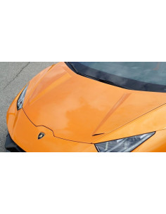 NOVITEC Lamborghini Huracan STERRATO Capot avant avec prises d'air 2