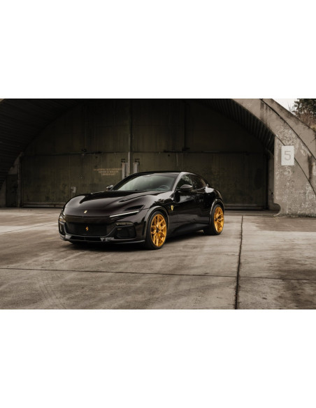 Ressorts courts NOVITEC pour FERRARI PUROSANGUE