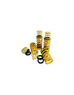 Ressorts courts NOVITEC pour FERRARI 12 CILINDRI