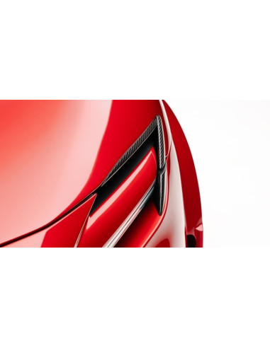 Extensions de nez de capot Carbone NOVITEC pour FERRARI PUROSANGUE