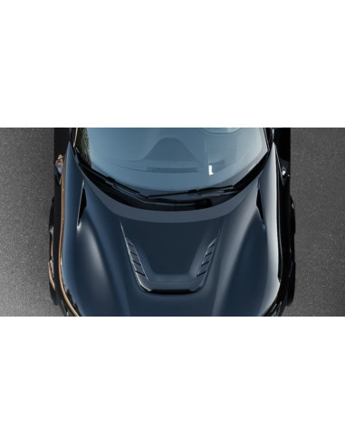 Extension de capot Carbone NOVITEC pour FERRARI PUROSANGUE