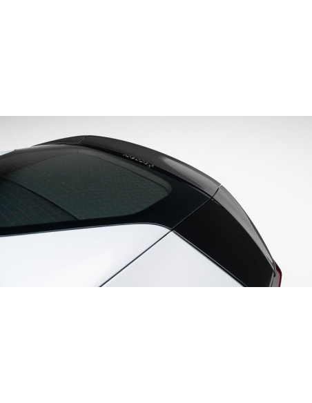 Becquet de coffre Carbone NOVITEC pour FERRARI 12 CILINDRI