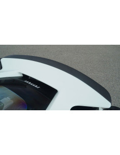 NOVITEC Ferrari 488 Pista / Pista Spider Becquet Arrière Carbone 2